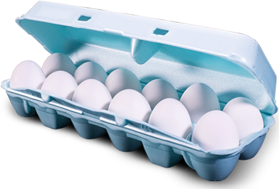 egg_carton_smaller